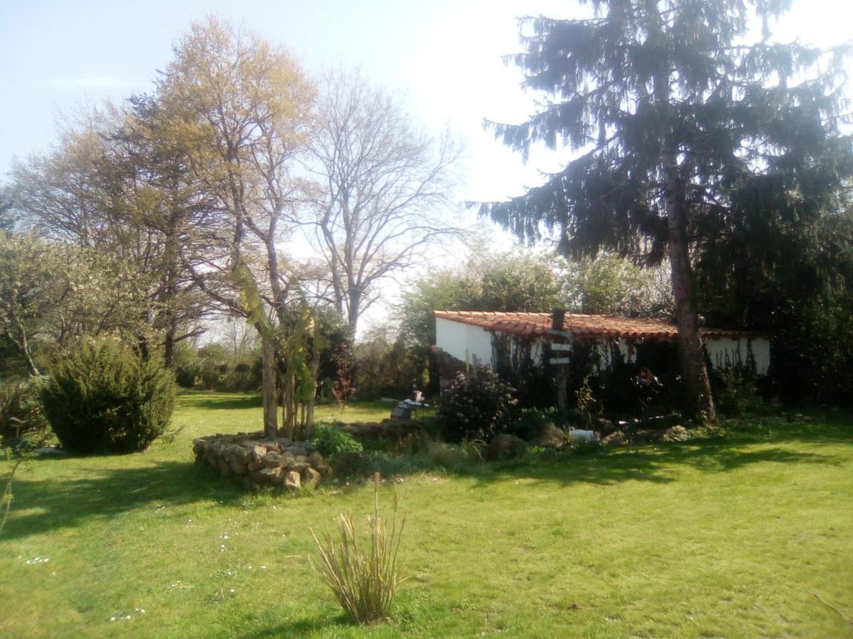 Mas Des Vignes Piscine Chauffee Bed & Breakfast Le Champ-Saint-Pere Luaran gambar